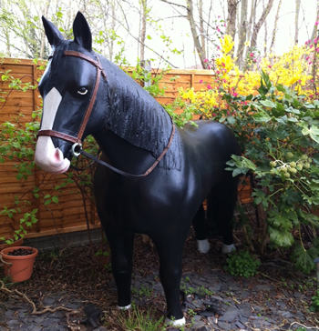 nobby in the shoefactory garden